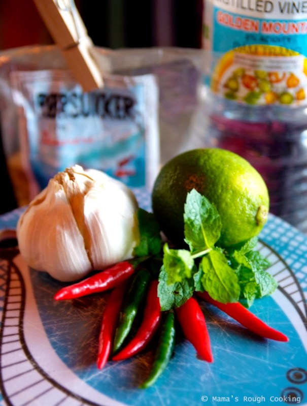 130806-vietnamesisk-dip