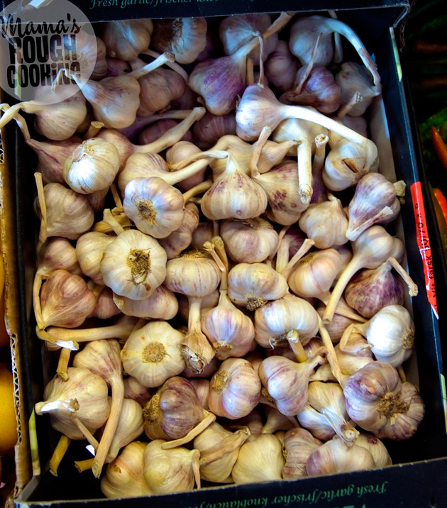 garlic-fresh
