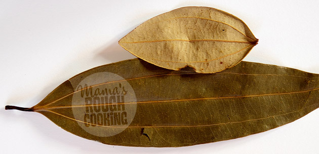 kassia-indiska-lagerblad