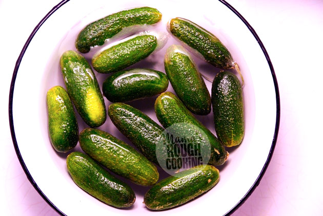 140922-vasteras-gurka-hela