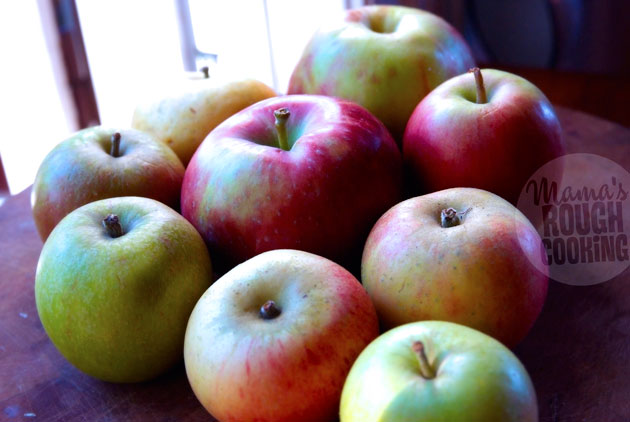 applen-svenska-140929