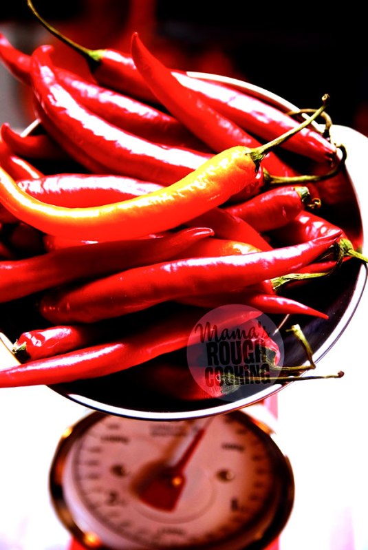 chili-scale-red-140922